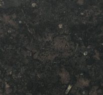 Black Fossil Stone